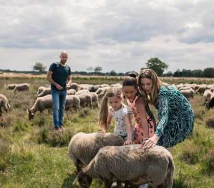 Ontdek als familieuitje het zwembad in de Bonte Wever 